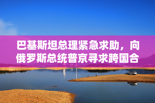 巴基斯坦总理紧急求助，向俄罗斯总统普京寻求跨国合作