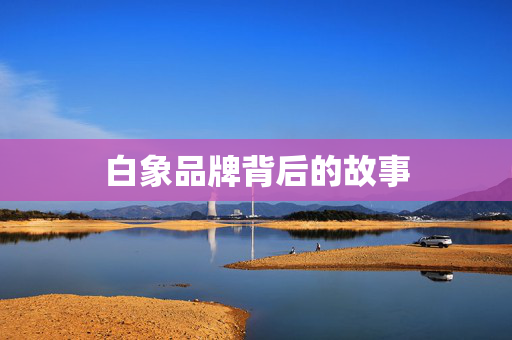 白象品牌背后的故事