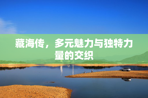 藏海传，多元魅力与独特力量的交织