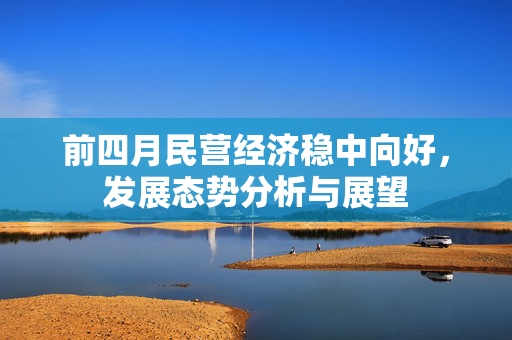 前四月民营经济稳中向好，发展态势分析与展望