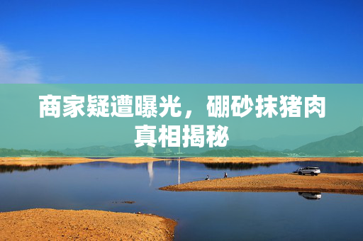 商家疑遭曝光，硼砂抹猪肉真相揭秘