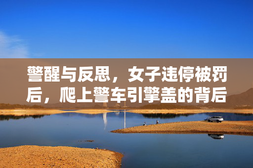 警醒与反思，女子违停被罚后，爬上警车引擎盖的背后故事