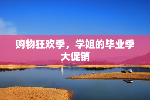 购物狂欢季，学姐的毕业季大促销