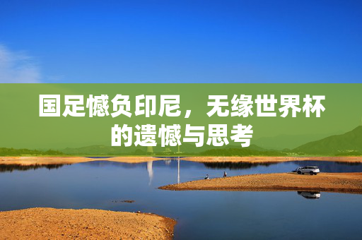 国足憾负印尼，无缘世界杯的遗憾与思考
