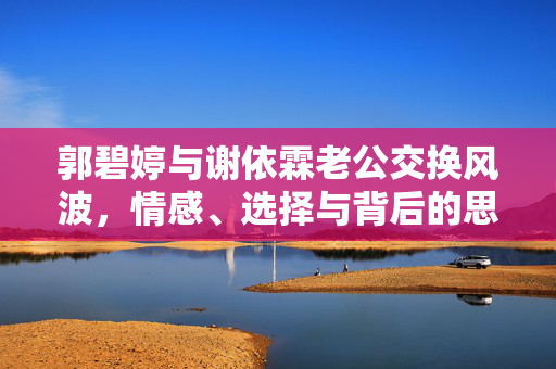 郭碧婷与谢依霖老公交换风波，情感、选择与背后的思考