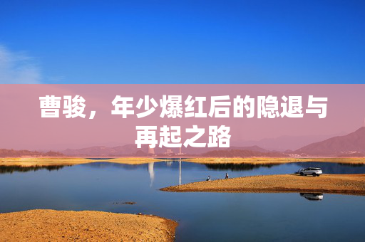 曹骏，年少爆红后的隐退与再起之路