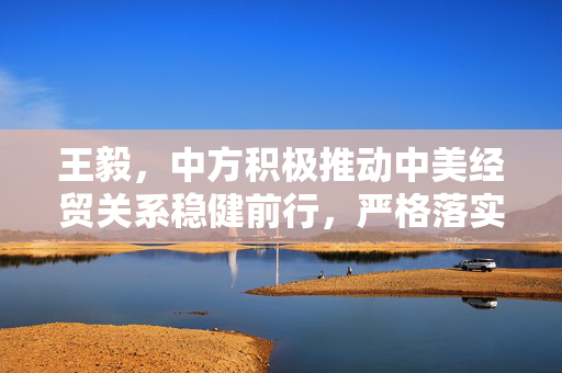 王毅，中方积极推动中美经贸关系稳健前行，严格落实会谈共识
