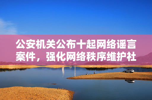公安机关公布十起网络谣言案件，强化网络秩序维护社会稳定