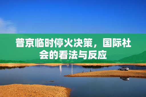普京临时停火决策，国际社会的看法与反应