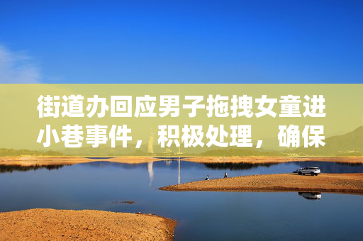 街道办回应男子拖拽女童进小巷事件，积极处理，确保安全与公正