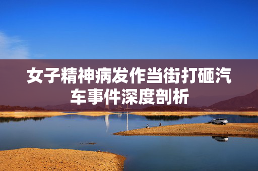 女子精神病发作当街打砸汽车事件深度剖析