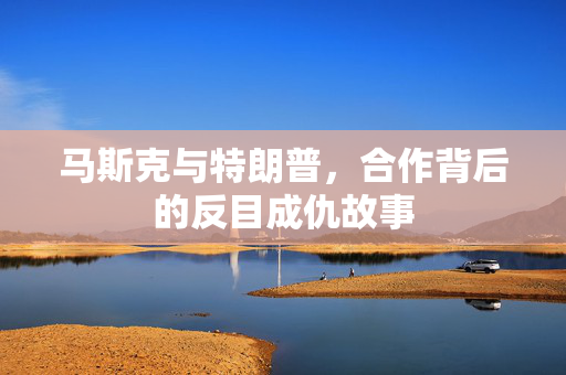 马斯克与特朗普，合作背后的反目成仇故事