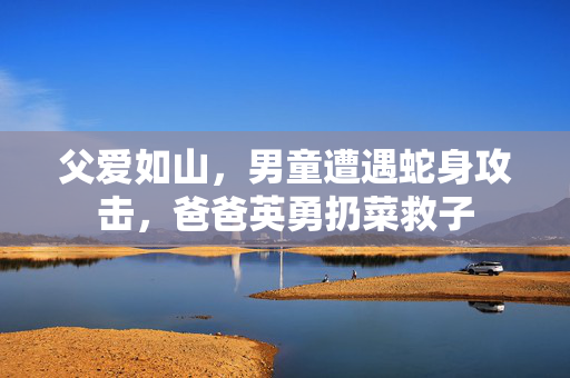 父爱如山，男童遭遇蛇身攻击，爸爸英勇扔菜救子