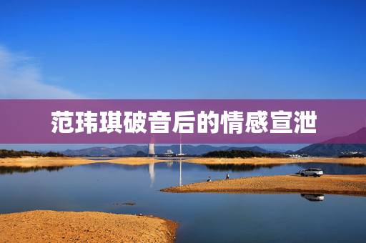 范玮琪破音后的情感宣泄