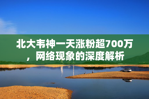 北大韦神一天涨粉超700万，网络现象的深度解析