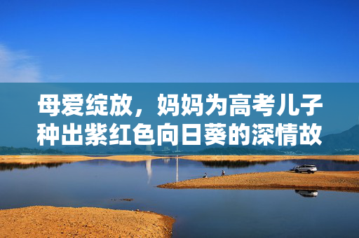 母爱绽放，妈妈为高考儿子种出紫红色向日葵的深情故事