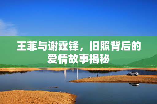 王菲与谢霆锋，旧照背后的爱情故事揭秘