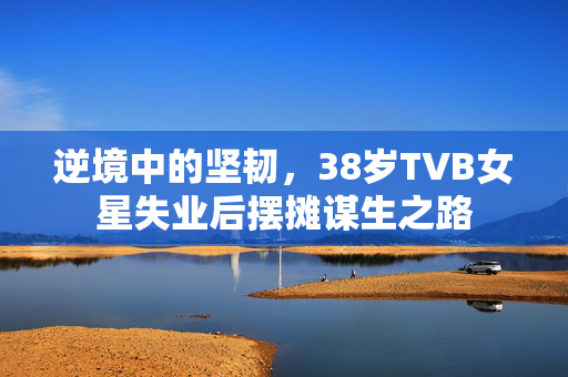 逆境中的坚韧，38岁TVB女星失业后摆摊谋生之路