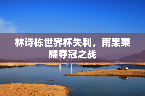 林诗栋世界杯失利，雨果荣耀夺冠之战