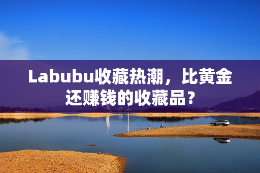 Labubu收藏热潮，比黄金还赚钱的收藏品？