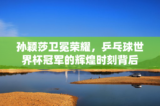 孙颖莎卫冕荣耀，乒乓球世界杯冠军的辉煌时刻背后
