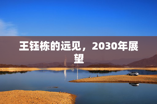 王钰栋的远见，2030年展望