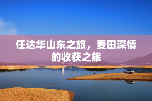 任达华山东之旅，麦田深情的收获之旅