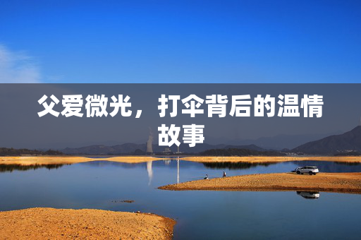 父爱微光，打伞背后的温情故事
