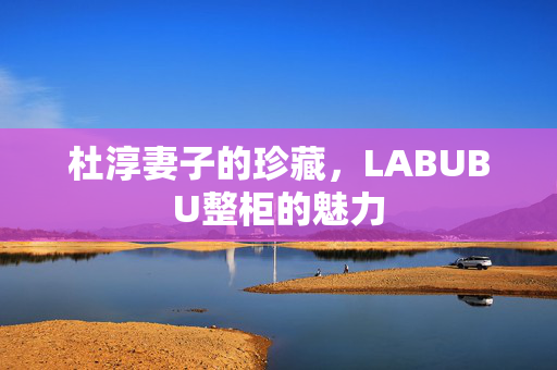 杜淳妻子的珍藏，LABUBU整柜的魅力