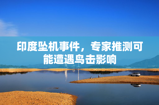 印度坠机事件，专家推测可能遭遇鸟击影响