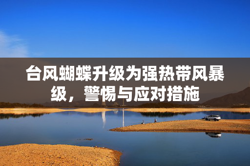 台风蝴蝶升级为强热带风暴级，警惕与应对措施