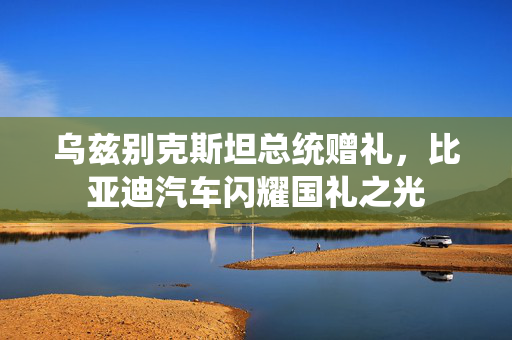 乌兹别克斯坦总统赠礼，比亚迪汽车闪耀国礼之光