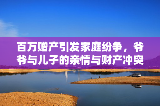 百万赠产引发家庭纷争，爷爷与儿子的亲情与财产冲突