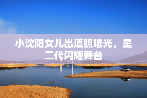 小沈阳女儿出道照曝光，星二代闪耀舞台