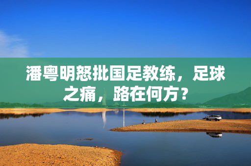 潘粤明怒批国足教练，足球之痛，路在何方？