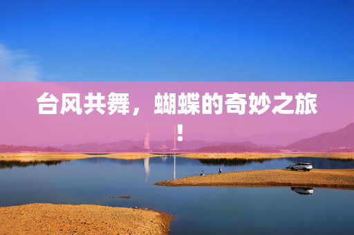 台风共舞，蝴蝶的奇妙之旅！