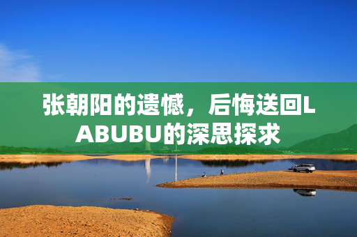 张朝阳的遗憾，后悔送回LABUBU的深思探求