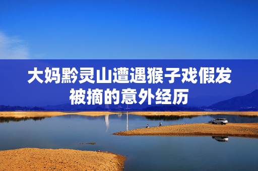 大妈黔灵山遭遇猴子戏假发被摘的意外经历