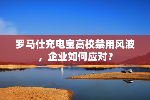 罗马仕充电宝高校禁用风波，企业如何应对？