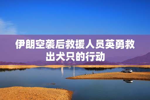 伊朗空袭后救援人员英勇救出犬只的行动