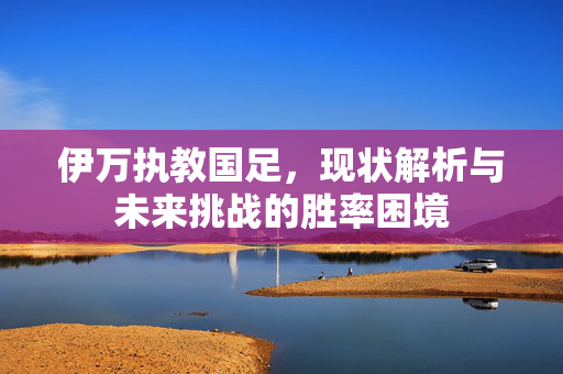 伊万执教国足，现状解析与未来挑战的胜率困境
