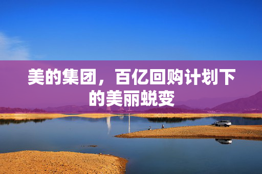 美的集团，百亿回购计划下的美丽蜕变