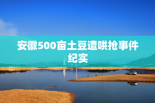 安徽500亩土豆遭哄抢事件纪实