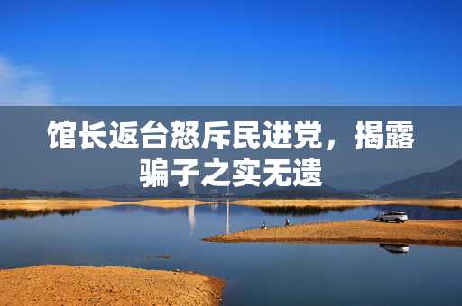 馆长返台怒斥民进党，揭露骗子之实无遗