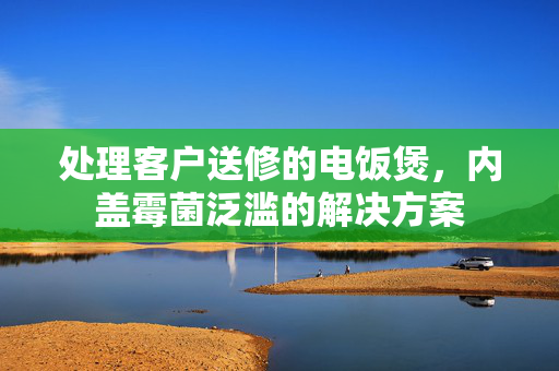 处理客户送修的电饭煲，内盖霉菌泛滥的解决方案