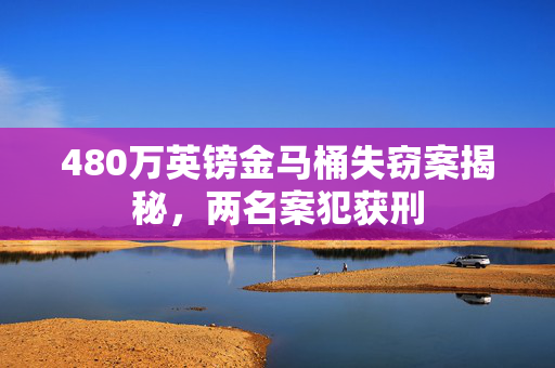 480万英镑金马桶失窃案揭秘，两名案犯获刑