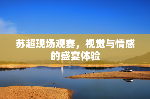 苏超现场观赛，视觉与情感的盛宴体验