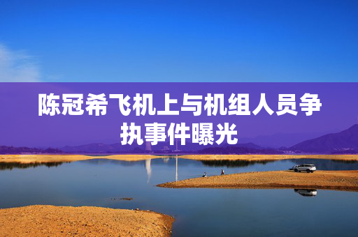 陈冠希飞机上与机组人员争执事件曝光