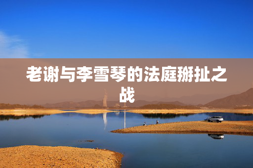 老谢与李雪琴的法庭掰扯之战