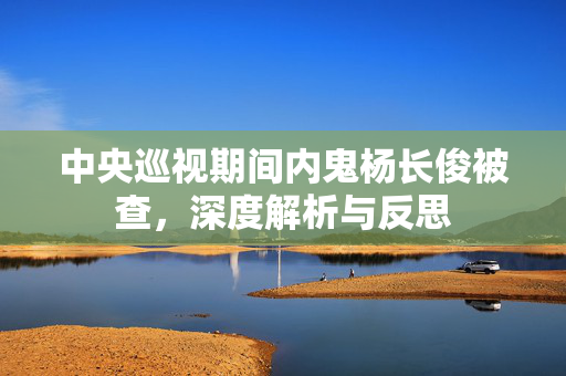 中央巡视期间内鬼杨长俊被查，深度解析与反思